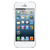 Apple iPhone 5 16Gb white - Орехово-Зуево